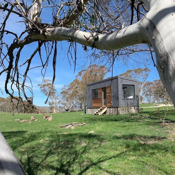 Big Yard Escapes - Two Off-Grid Tiny Houses On The Mowamba River 金德拜恩 外观 照片