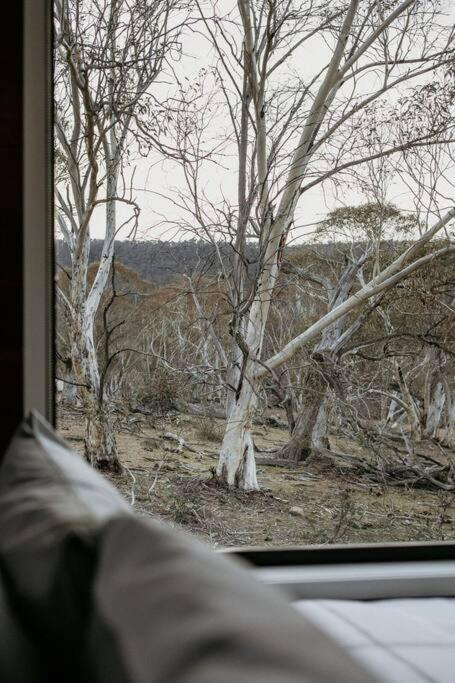 Big Yard Escapes - Two Off-Grid Tiny Houses On The Mowamba River 金德拜恩 外观 照片