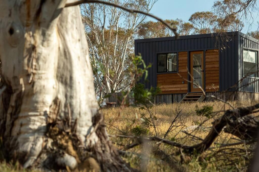 Big Yard Escapes - Two Off-Grid Tiny Houses On The Mowamba River 金德拜恩 外观 照片